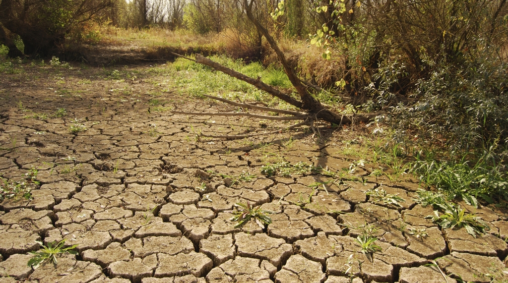 Increased Resilience To Climate Change In Northern Ghana Through The 