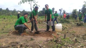 Planting trees / UNEP Cambodia