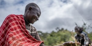 Adaptation Fund Climate Innovation Accelerator (AFCIA) Grantee 'Savannas Forever' in Arusha, Tanzania (Photo by UNDP)